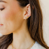 Marina Seashell Screwback Earrings