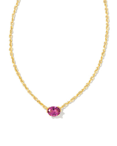 Cailin birthstone necklace: February